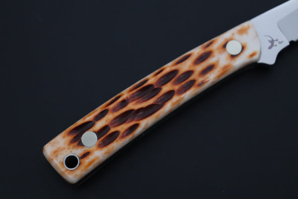 Hattori 傘 SAN-GECKO Last Solid VG-10 Limited Edition GECKO-35 #841 Wild Little Hunter (Jigged Bone Handle)