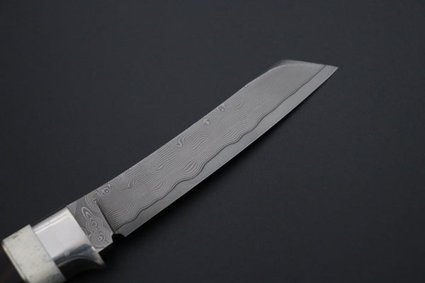 Hattori 傘 SAN Limited “Natures Edition” SAN-166 "Cowry X Damascus Little Tanto"