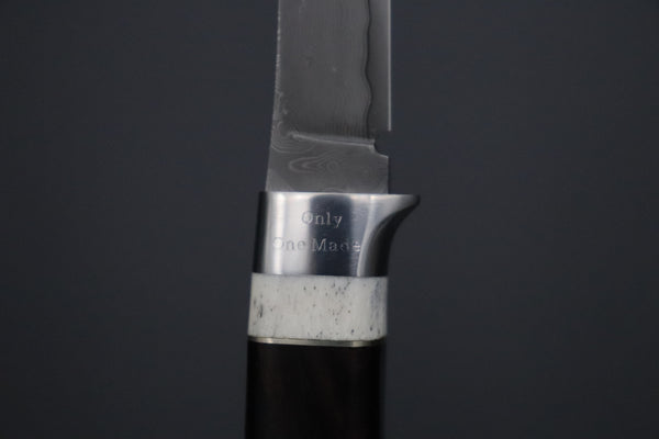 Hattori 傘 SAN Limited “Natures Edition” SAN-166 "Cowry X Damascus Little Tanto"