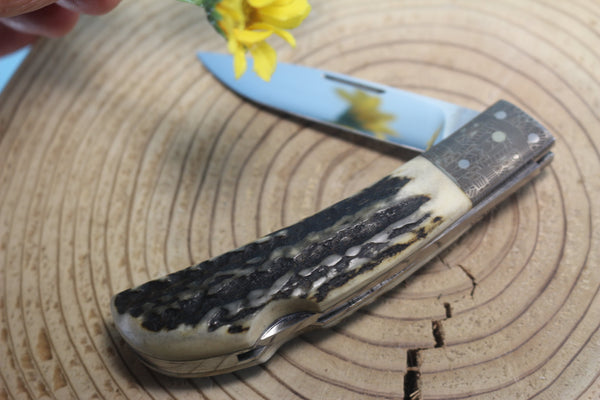 Fumio Inagaki FI-550 Cowry Lockback Folder, Stag handle with Mokume bolster - japaneseknifedirect.mom