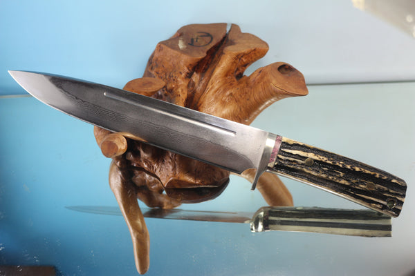 Fumio Inagaki FI-590 Big Straight Hunter. 9-1/2" VG-10 Damascus blade, Samber Stag handle - japaneseknifedirect.mom