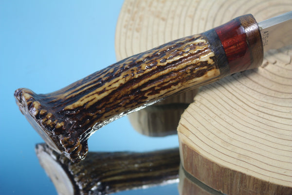 Fumio Inagaki FI-650 CrownStag Straight Hunter I, 5-5/8" Hitachi Premium ATS-34 Blade - japaneseknifedirect.mom