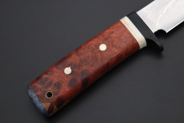 Fumio Inagaki FI-815   5" VG-10 Damascus Drop Point Hunter, Quince Burl wood Handle - japaneseknifedirect.mom