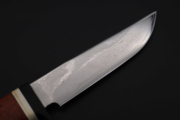 Fumio Inagaki FI-815   5" VG-10 Damascus Drop Point Hunter, Quince Burl wood Handle - japaneseknifedirect.mom