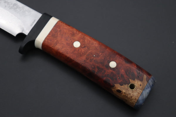 Fumio Inagaki FI-815   5" VG-10 Damascus Drop Point Hunter, Quince Burl wood Handle - japaneseknifedirect.mom