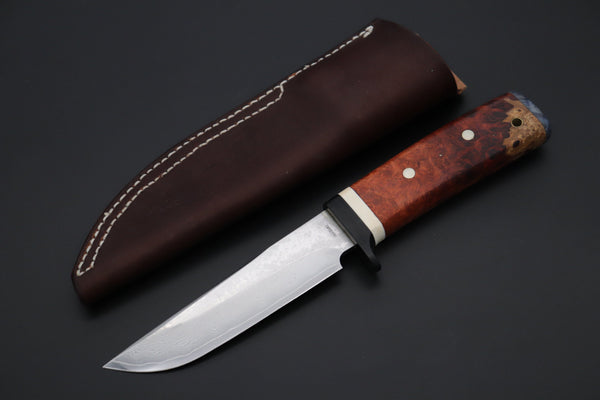 Fumio Inagaki FI-815   5" VG-10 Damascus Drop Point Hunter, Quince Burl wood Handle - japaneseknifedirect.mom