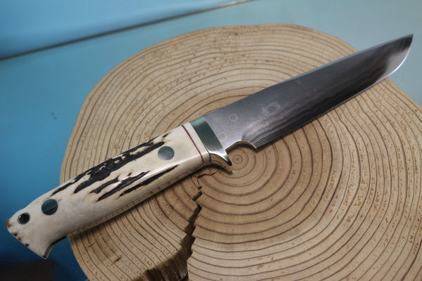 Fumio Inagaki FI-890 Damascus Hunter, 5-1/2" VG-1 Damascus blade - japaneseknifedirect.mom