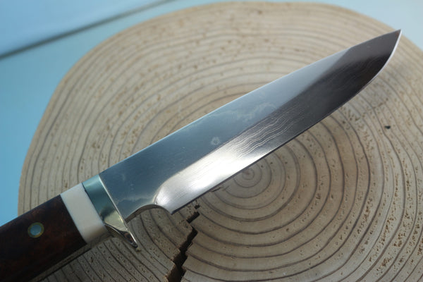 Fumio Inagaki FI-945 Damascus Hunter, 5-1/2" VG-1 Damascus blade, Premium Desert Ironwood Burl handle - japaneseknifedirect.mom