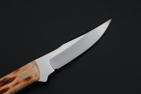 Hattori #841B Little Wild Hunters (Clip Point) - japaneseknifedirect.mom