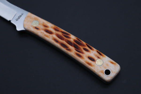 Hattori #841B Little Wild Hunters (Clip Point) - japaneseknifedirect.mom