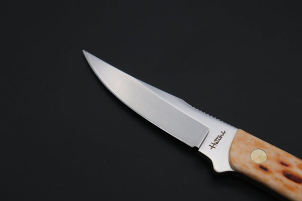 Hattori #841B Little Wild Hunters (Clip Point) - japaneseknifedirect.mom