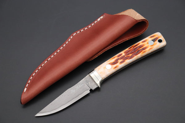 Hattori KD30-841B Cowry X Damascus Little Wild Hunters (Clip Point, Brown Jigged Bone Handle) - japaneseknifedirect.mom