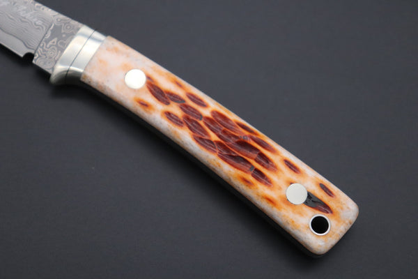 Hattori KD30-841B Cowry X Damascus Little Wild Hunters (Clip Point, Brown Jigged Bone Handle) - japaneseknifedirect.mom