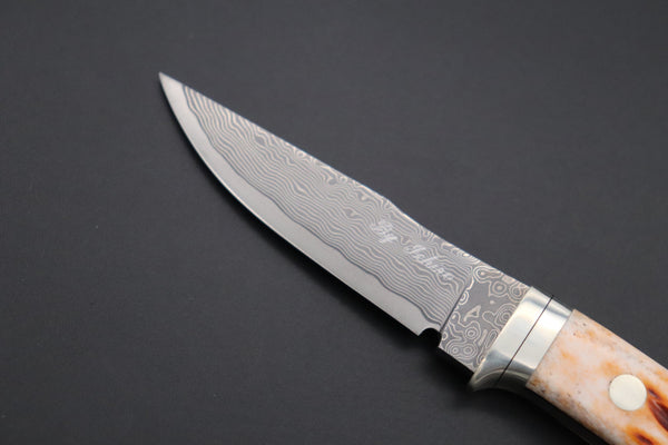 Hattori KD30-841B Cowry X Damascus Little Wild Hunters (Clip Point, Brown Jigged Bone Handle) - japaneseknifedirect.mom