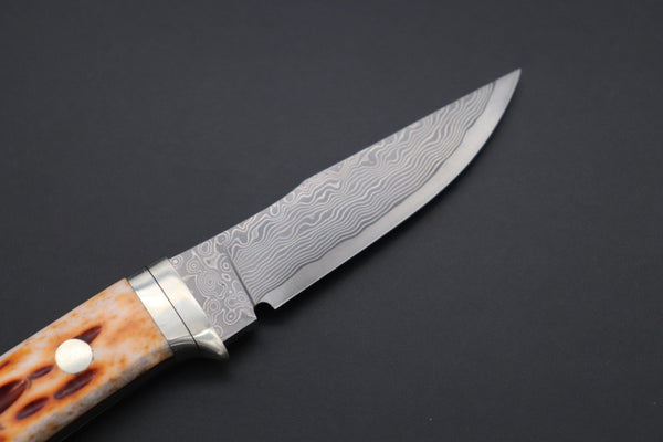 Hattori KD30-841B Cowry X Damascus Little Wild Hunters (Clip Point, Brown Jigged Bone Handle) - japaneseknifedirect.mom