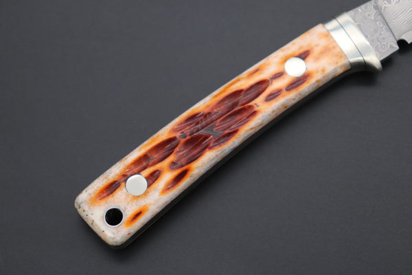 Hattori KD30-841B Cowry X Damascus Little Wild Hunters (Clip Point, Brown Jigged Bone Handle) - japaneseknifedirect.mom