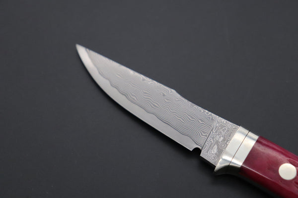 Hattori KD30-841R Cowry X Damascus Little Wild Hunters (Clip Point, Strawberry Red Bone Handle) - japaneseknifedirect.mom