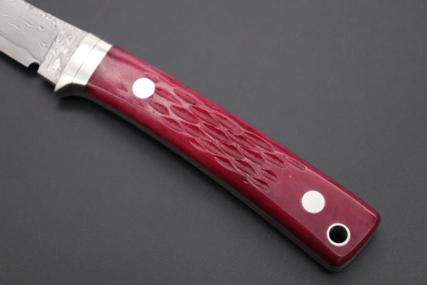 Hattori KD30-841R Cowry X Damascus Little Wild Hunters (Clip Point, Strawberry Red Bone Handle) - japaneseknifedirect.mom