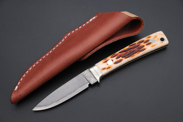 Hattori KD30-845B Cowry X Damascus Little Wild Hunters  (Drop Point, Brown Jigged Bone Handle) - japaneseknifedirect.mom