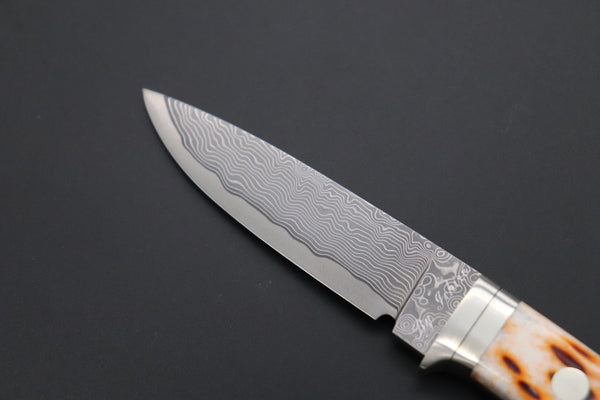 Hattori KD30-845B Cowry X Damascus Little Wild Hunters  (Drop Point, Brown Jigged Bone Handle) - japaneseknifedirect.mom