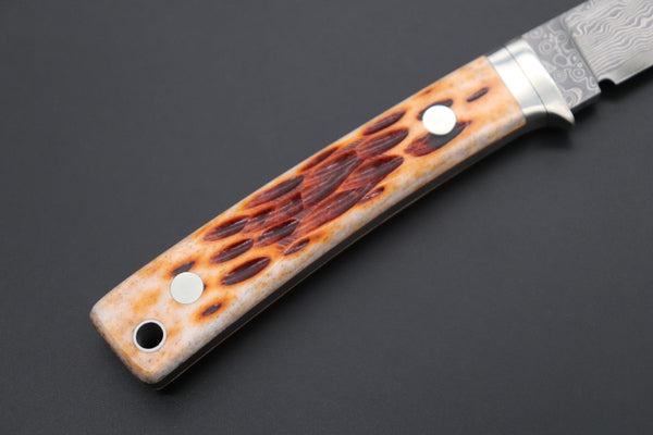 Hattori KD30-845B Cowry X Damascus Little Wild Hunters  (Drop Point, Brown Jigged Bone Handle) - japaneseknifedirect.mom