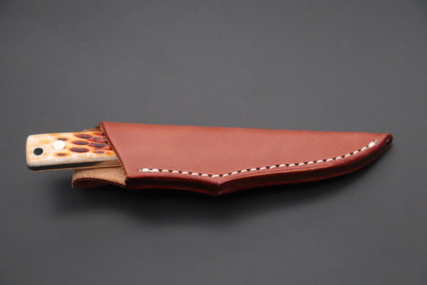 Hattori KD30-845B Cowry X Damascus Little Wild Hunters  (Drop Point, Brown Jigged Bone Handle) - japaneseknifedirect.mom