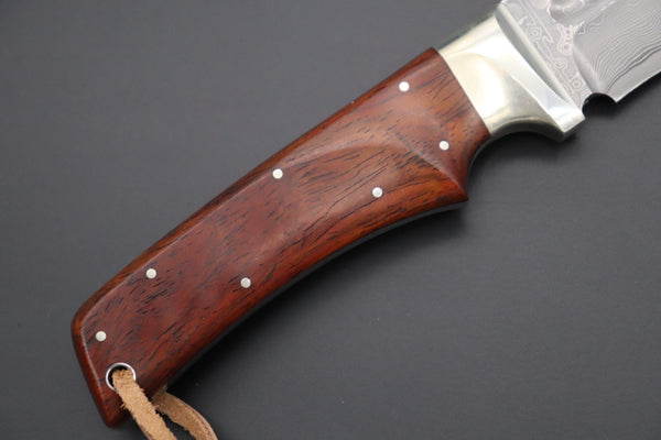 Hattori KD30-華HANA (Cowry X Damascus Ultimate Edition, Cocobolo Wood Handle, KD30HAC)