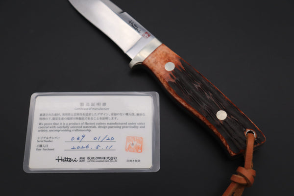 Hattori 傘 SAN-GECKO Limited Edition GECKO-33 Wild Dream Hunter - japaneseknifedirect.mom