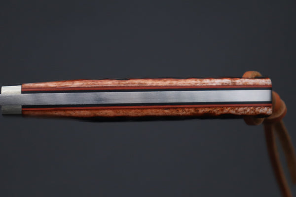 Hattori 傘 SAN-GECKO Limited Edition GECKO-33 Wild Dream Hunter - japaneseknifedirect.mom