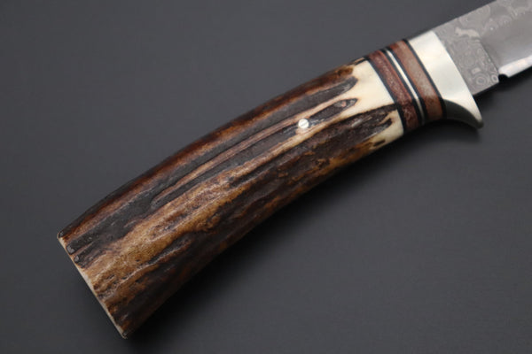 Hattori 傘 SAN Limited Edition SAN-127C "Cowry X Damascus Classic Tanto" - japaneseknifedirect.mom