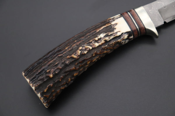 Hattori 傘 SAN Limited Edition SAN-127E "Cowry X Damascus Classic Tanto" - japaneseknifedirect.mom