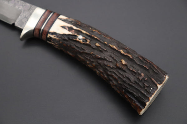 Hattori 傘 SAN Limited Edition SAN-127E "Cowry X Damascus Classic Tanto" - japaneseknifedirect.mom