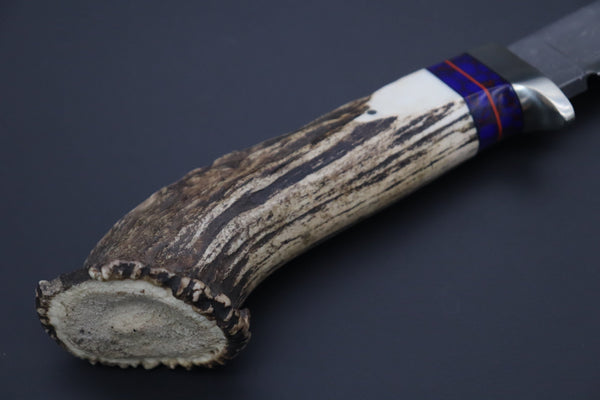 Hattori 傘 SAN Limited Edition SAN-133A Cowry-X Damascus Mighty Wild Crown Hunter (Crown Stag Handle) - japaneseknifedirect.mom