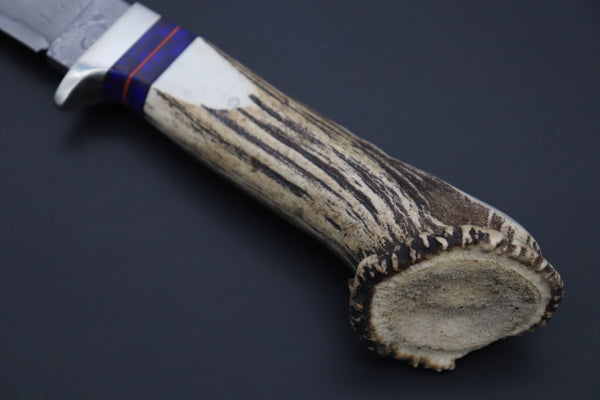 Hattori 傘 SAN Limited Edition SAN-133A Cowry-X Damascus Mighty Wild Crown Hunter (Crown Stag Handle) - japaneseknifedirect.mom