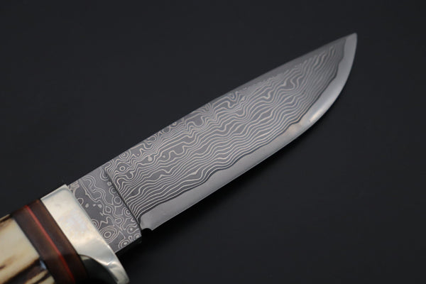 Hattori 傘 SAN Limited Edition SAN-133B Cowry-X Damascus Mighty Wild Hunter - japaneseknifedirect.mom