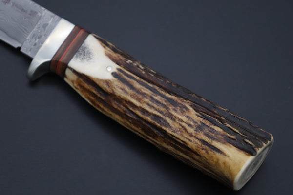 Hattori 傘 SAN Limited Edition SAN-133B Cowry-X Damascus Mighty Wild Hunter - japaneseknifedirect.mom