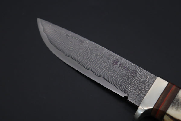 Hattori 傘 SAN Limited Edition SAN-133B Cowry-X Damascus Mighty Wild Hunter - japaneseknifedirect.mom
