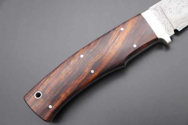 Hattori 傘 SAN Limited Edition SAN-63F Cowry-X Damascus Urbane Hunter "Custom Desert Ironwood Handle"