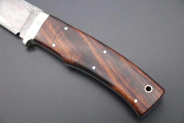 Hattori 傘 SAN Limited Edition SAN-63F Cowry-X Damascus Urbane Hunter "Custom Desert Ironwood Handle"