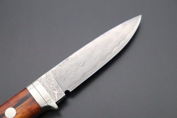 Hattori 傘 SAN Limited Edition SAN-78C Limited Cowry-X Damascus EDC Utility Hunter (Cocobolo Wood Handle)
