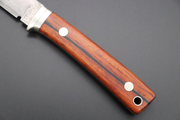 Hattori 傘 SAN Limited Edition SAN-78C Limited Cowry-X Damascus EDC Utility Hunter (Cocobolo Wood Handle)