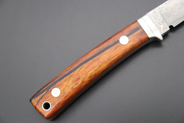 Hattori 傘 SAN Limited Edition SAN-78C Limited Cowry-X Damascus EDC Utility Hunter (Cocobolo Wood Handle)