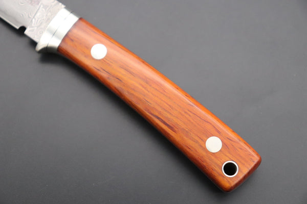 Hattori 傘 SAN Limited Edition SAN-78C2 Limited Cowry-X Damascus EDC Utility Hunter (Cocobolo Wood Handle) - japaneseknifedirect.mom