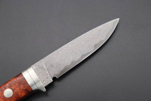 Hattori 傘 SAN Limited Edition SAN-78Q Limited Cowry-X Damascus EDC Utility Hunter (Quince Burl Wood Handle)