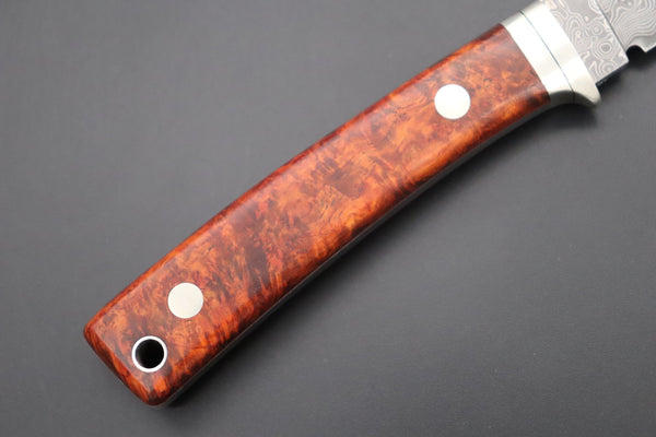 Hattori 傘 SAN Limited Edition SAN-78Q Limited Cowry-X Damascus EDC Utility Hunter (Quince Burl Wood Handle)