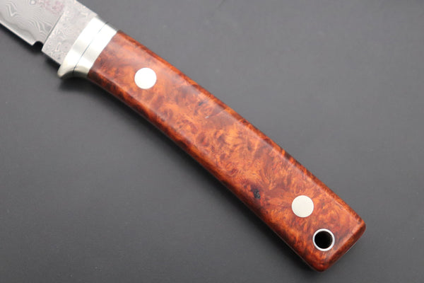 Hattori 傘 SAN Limited Edition SAN-78Q Limited Cowry-X Damascus EDC Utility Hunter (Quince Burl Wood Handle)