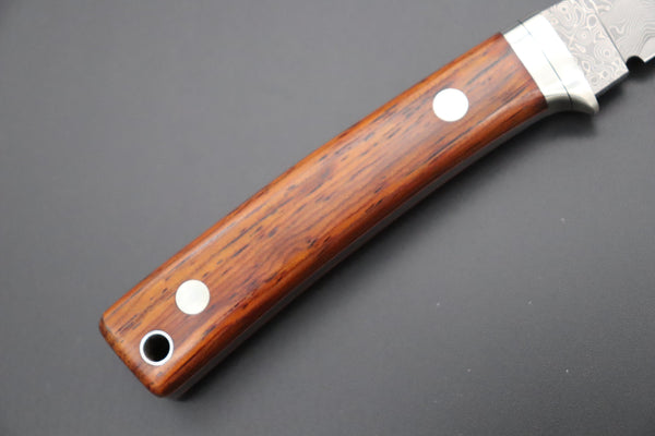 Hattori 傘 SAN Limited Edition SAN-79C Limited Cowry-X Damascus Little Hunter (Clip Point, Cocobolo Wood Handle) - japaneseknifedirect.mom