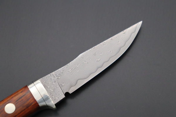 Hattori 傘 SAN Limited Edition SAN-79C Limited Cowry-X Damascus Little Hunter (Clip Point, Cocobolo Wood Handle) - japaneseknifedirect.mom