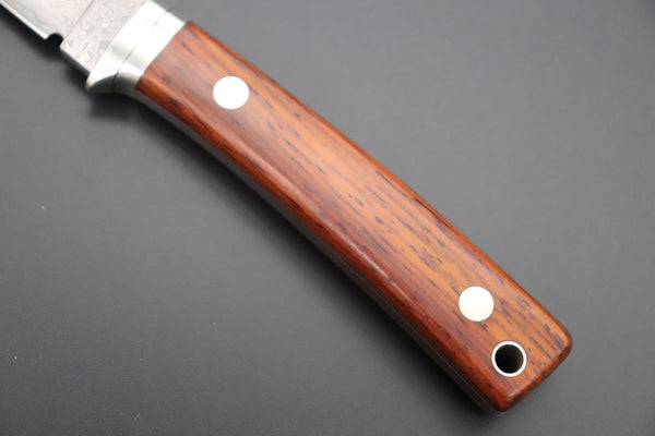 Hattori 傘 SAN Limited Edition SAN-79C Limited Cowry-X Damascus Little Hunter (Clip Point, Cocobolo Wood Handle) - japaneseknifedirect.mom