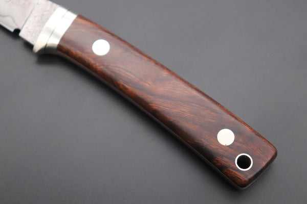 Hattori 傘 SAN Limited Edition SAN-79I Limited Cowry-X Damascus Little Hunter (Clip Point, Desert Ironwood Handle) - japaneseknifedirect.mom